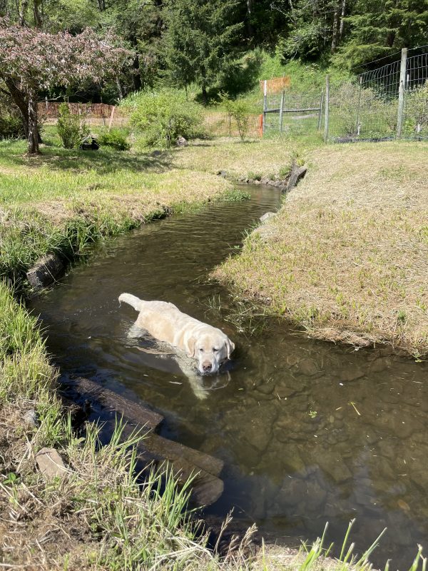 Hank is staying cool